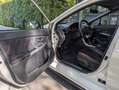 Subaru Impreza 2.5 WRX STI GARANZIA / PRIMA VERNICE / BOOK SERVIC - thumbnail 11
