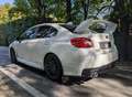 Subaru Impreza 2.5 WRX STI GARANZIA / PRIMA VERNICE / BOOK SERVIC - thumbnail 5