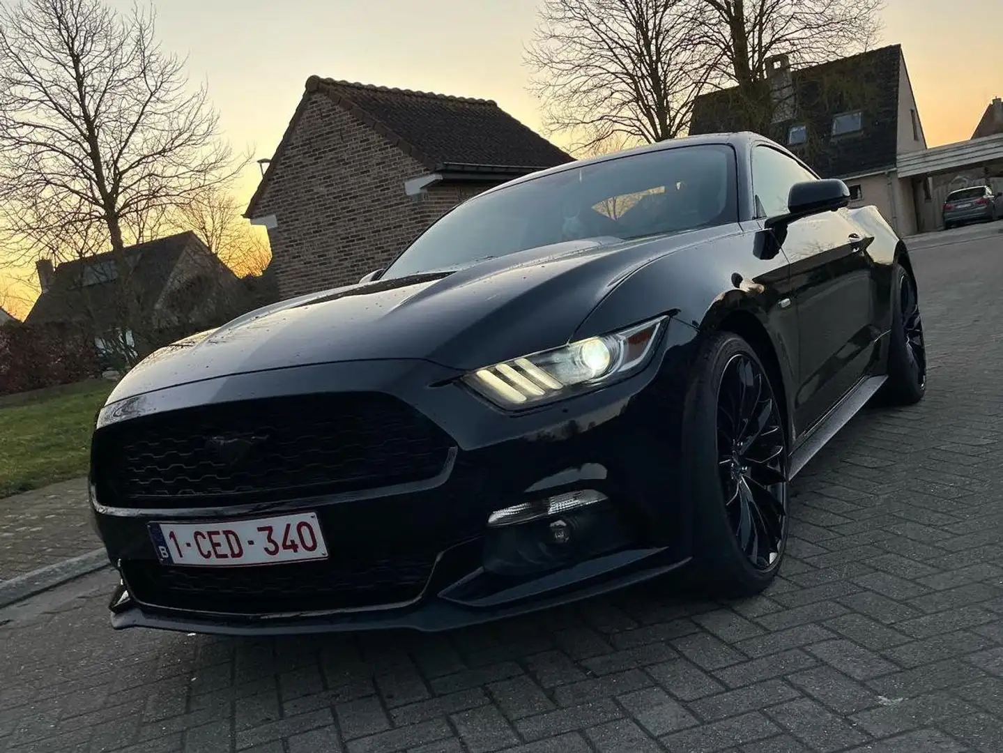 Ford Mustang Mustang 2.3 Eco Boost Aut. Zwart - 2
