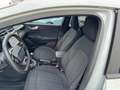 Ford Puma 1.0 ecoboost h ST-Line s Grigio - thumbnail 10