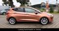 Ford Fiesta Titanium *Pano*Navi*neues Modell Braun - thumbnail 4