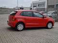 Volkswagen Polo 5p 1.4 Comfortline *EURO 5A* Rosso - thumbnail 2