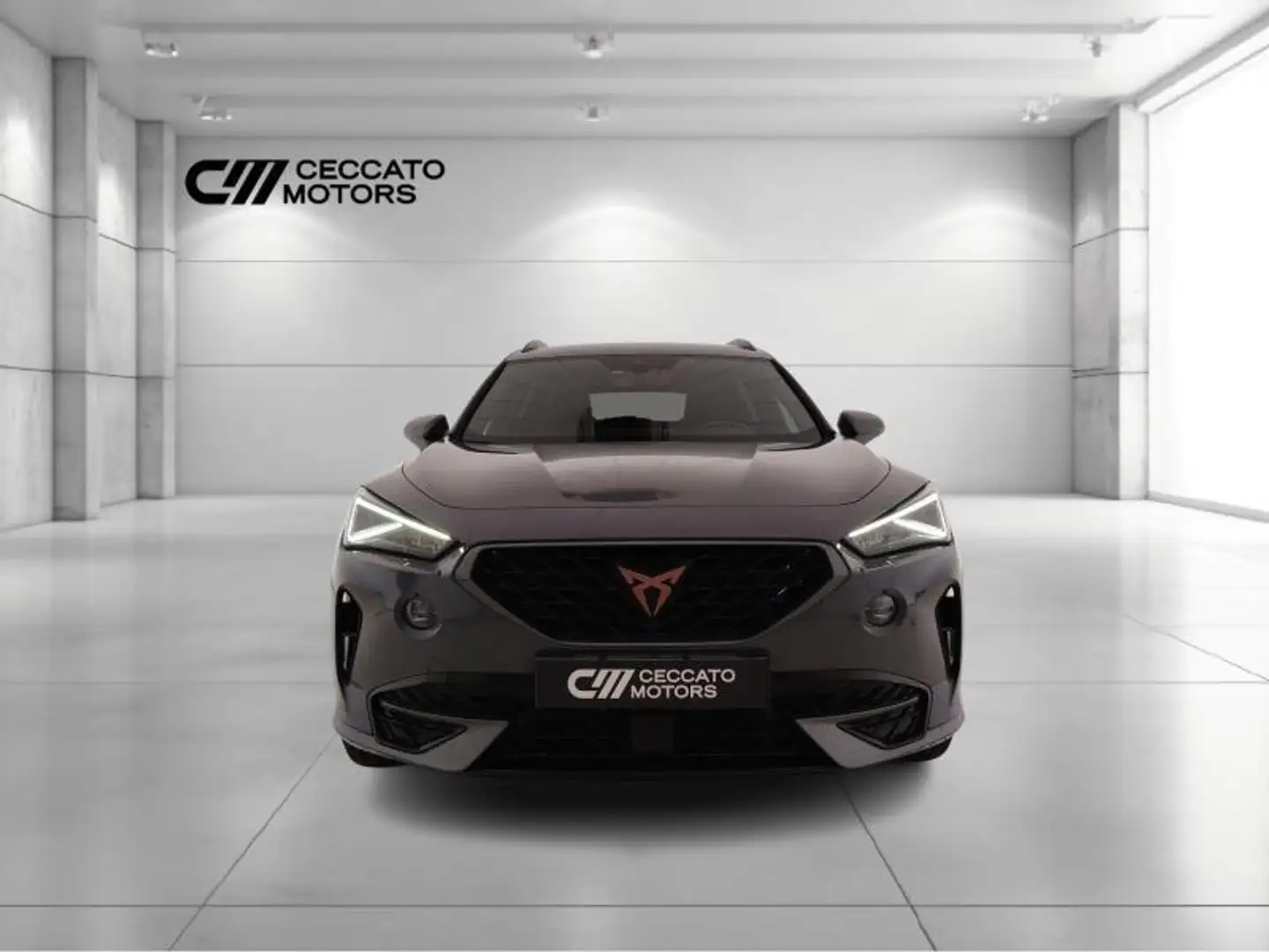 CUPRA Formentor 2.0 tdi 4drive dsg Gris - 2