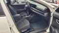 Kia K4 Vision 1.0 +NAVI+SHZ+ACA+LED+KAMERA 85 kW (116 ... Weiß - thumbnail 10