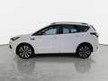 Ford Kuga KUGA 1.5 EB AUTO. ST-LINE 4X2 NAVI WINTER STYLING- Bianco - thumbnail 6