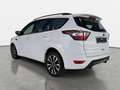 Ford Kuga KUGA 1.5 EB AUTO. ST-LINE 4X2 NAVI WINTER STYLING- Bianco - thumbnail 5