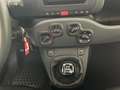 Fiat Panda 1.0 firefly hybrid s Schwarz - thumbnail 10