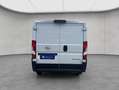 Opel Movano Kasten Blue HDI L1/H1, Klima Blanc - thumbnail 4