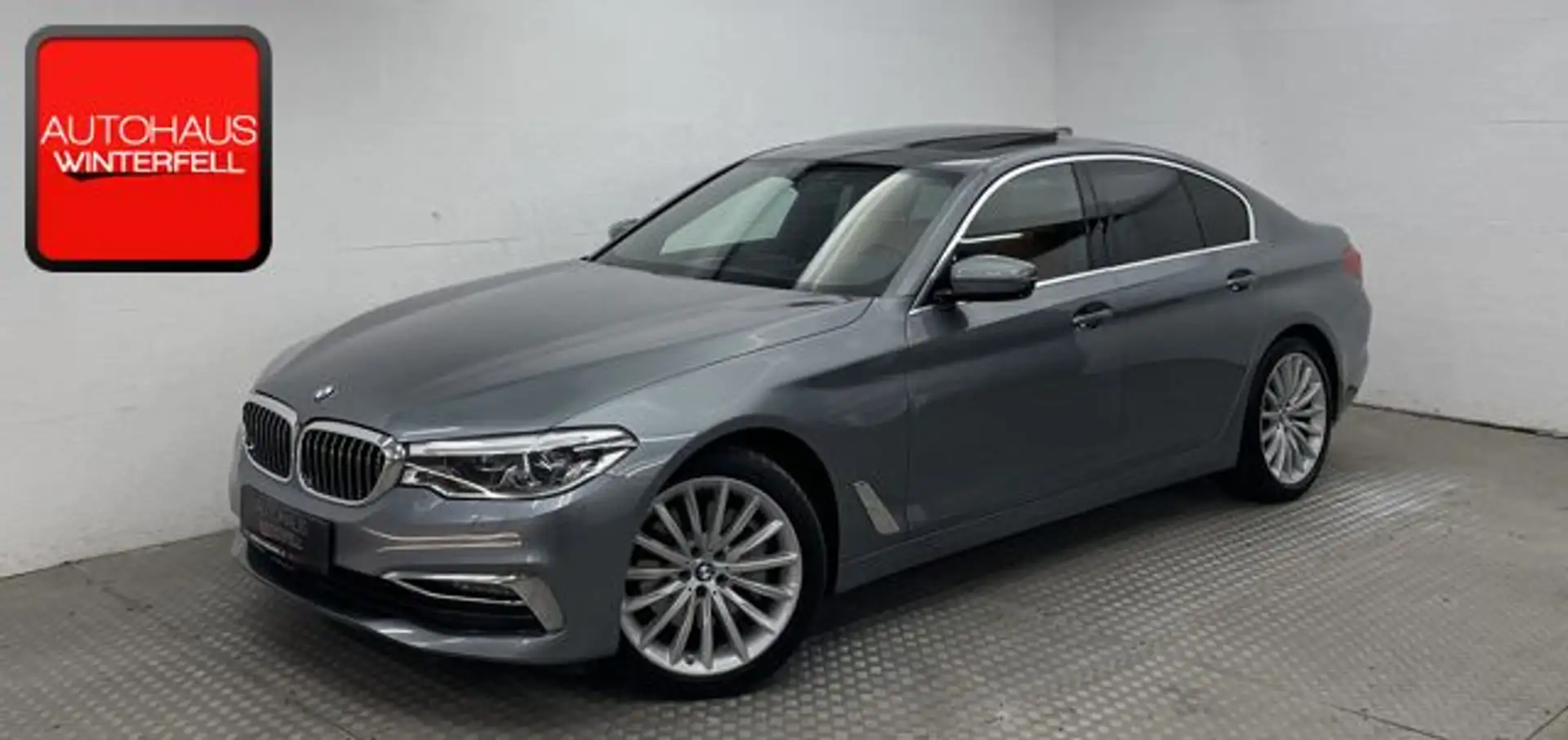 BMW 530 d xDrive Luxury Line GSD+NIGHT+INTEGRAL+MEMO - 1