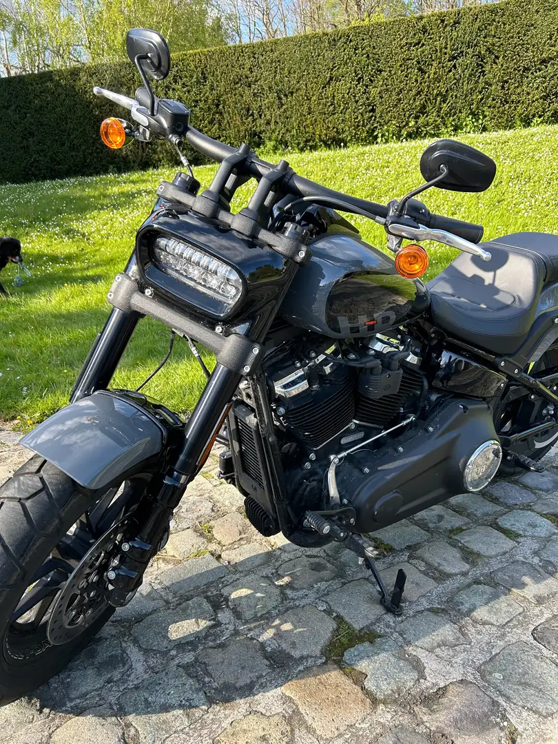 Harley-Davidson Fat Bob 114 Gris - 2