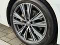 Audi A6 Avant 50 TDI S-LINE PANO B&O AHK StandHzg. ACC 20 Blanco - thumbnail 14