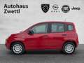 Fiat Panda /Pandina Icon Hybrid 70 Rot - thumbnail 3