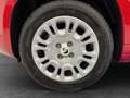 Fiat Panda /Pandina Icon Hybrid 70 Rot - thumbnail 20