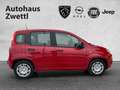 Fiat Panda /Pandina Icon Hybrid 70 Rot - thumbnail 7