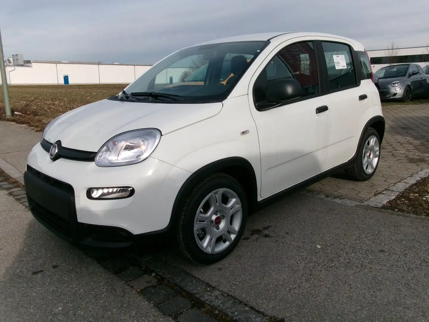 Fiat Panda Hybrid 1.0 Blanc - 2