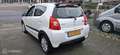 Suzuki Alto 1.0 Exclusive Blanco - thumbnail 11