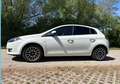 Fiat Bravo Weiß - thumbnail 4