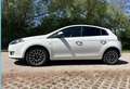 Fiat Bravo Weiß - thumbnail 3