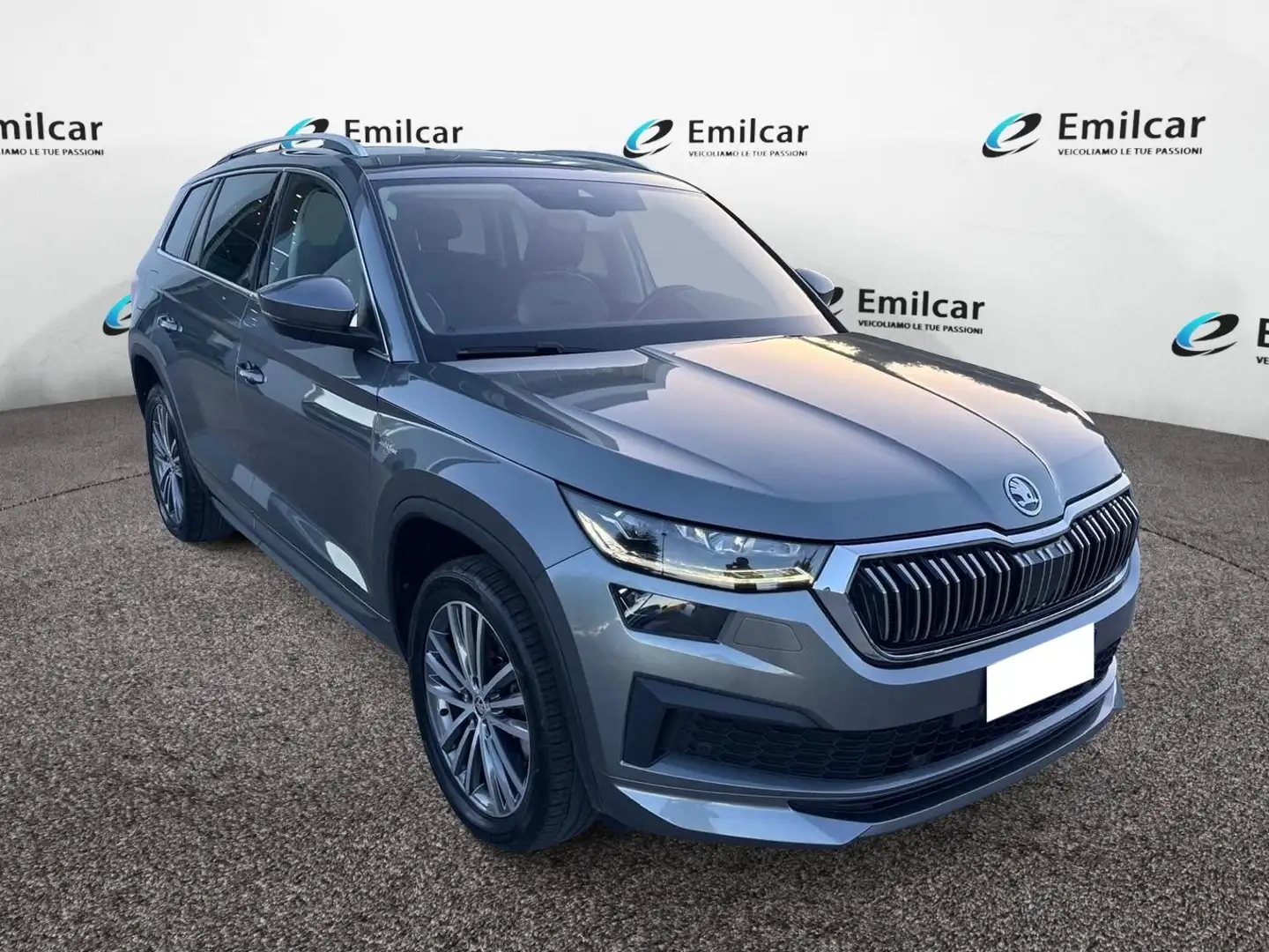 Skoda Sonstige Versione Grau - 2