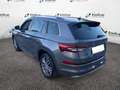Skoda Sonstige Versione Grau - thumbnail 4