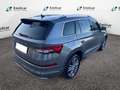Skoda Sonstige Versione Grau - thumbnail 3