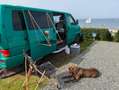 Volkswagen T4 Caravelle Caravelle T4 2,5 TDI ACV Lang Grün - thumbnail 12
