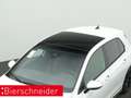Volkswagen Golf GTI 8 2.0 TSI DSG PANO NAVI ACC KAMERA Weiß - thumbnail 19
