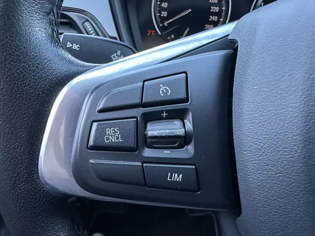 BMW X1 view 13