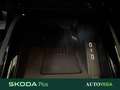 Skoda Kamiq 1.0 tsi selection 95cv Grigio - thumbnail 15