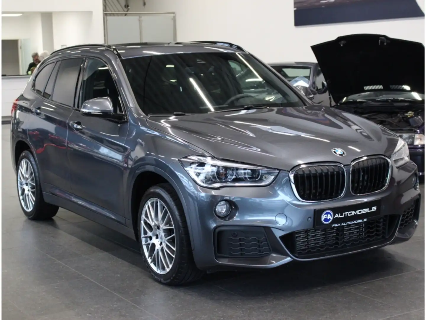 BMW X1 xDr. 25i M Sport*1.Hand*Pano*Finanz.ab 4,49% Grey - 2