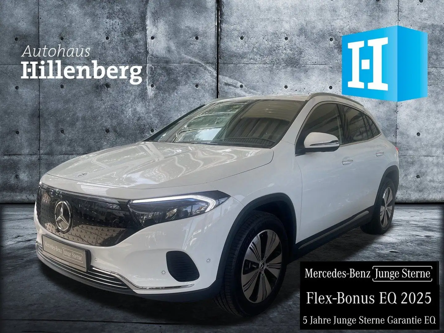 Mercedes-Benz EQA 300 4M Progressive Line Advanced Plus Wit - 1