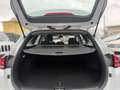 Kia Ceed SW / cee'd SW ceed SW 1,6 CRDi Hybrid Weiß - thumbnail 8