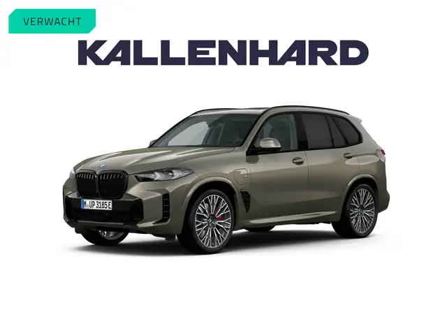 2025 BMW X5 in Grey for sale