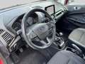 Ford EcoSport 1.0i Titanium - Parkeerhulp - Carplay - Winterpack Rouge - thumbnail 10