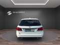 Mercedes-Benz E 220 T BlueTec 4Matic|S-DACH|AHK|R-KAME|LED|EU6 Weiß - thumbnail 6