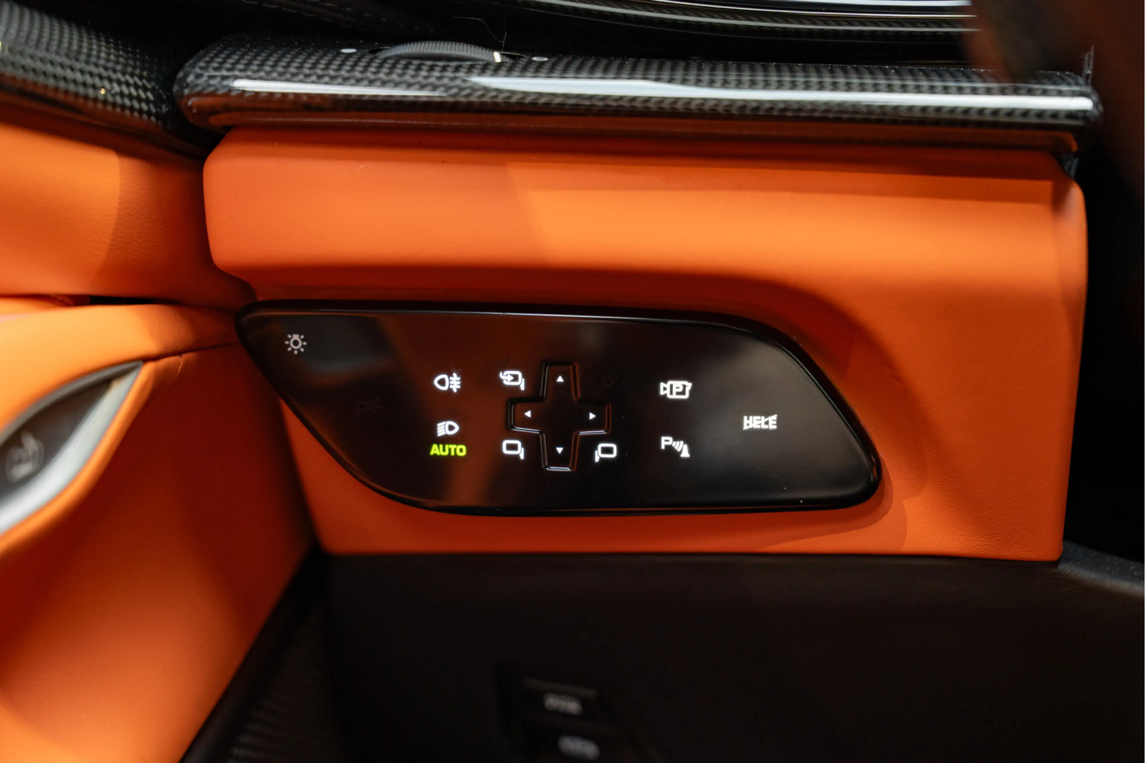 Ferrari Purosangue Airbrushed Shields Arancio Full Carbon 6.5 V12 — photo 44