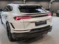 Lamborghini Urus Performante+PPF+ADAS+B&O-3D+Head-Up Weiß - thumbnail 11