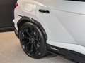 Lamborghini Urus Performante+PPF+ADAS+B&O-3D+Head-Up Weiß - thumbnail 8