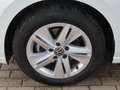 Volkswagen Golf VIII 2.0TDI Life 1.Hd*Navi*LED*Kamera*SHZ Weiß - thumbnail 29