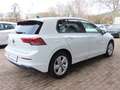 Volkswagen Golf VIII 2.0TDI Life 1.Hd*Navi*LED*Kamera*SHZ Weiß - thumbnail 6