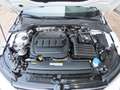 Volkswagen Golf VIII 2.0TDI Life 1.Hd*Navi*LED*Kamera*SHZ Weiß - thumbnail 27