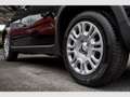 Fiat Panda Hybrid 1.0 PDC Klima dig.Kombiinstr. Temp. Schwarz - thumbnail 5