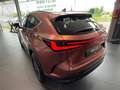 Lexus NX 350h Executive Line *360*HUD*Navi*LED*el Heck* Rouge - thumbnail 8