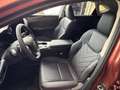 Lexus NX 350h Executive Line *360*HUD*Navi*LED*el Heck* Rouge - thumbnail 10
