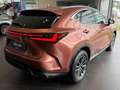 Lexus NX 350h Executive Line *360*HUD*Navi*LED*el Heck* Rouge - thumbnail 5