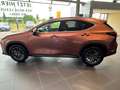 Lexus NX 350h Executive Line *360*HUD*Navi*LED*el Heck* Rouge - thumbnail 9