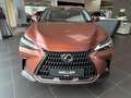 Lexus NX 350h Executive Line *360*HUD*Navi*LED*el Heck* Rouge - thumbnail 2