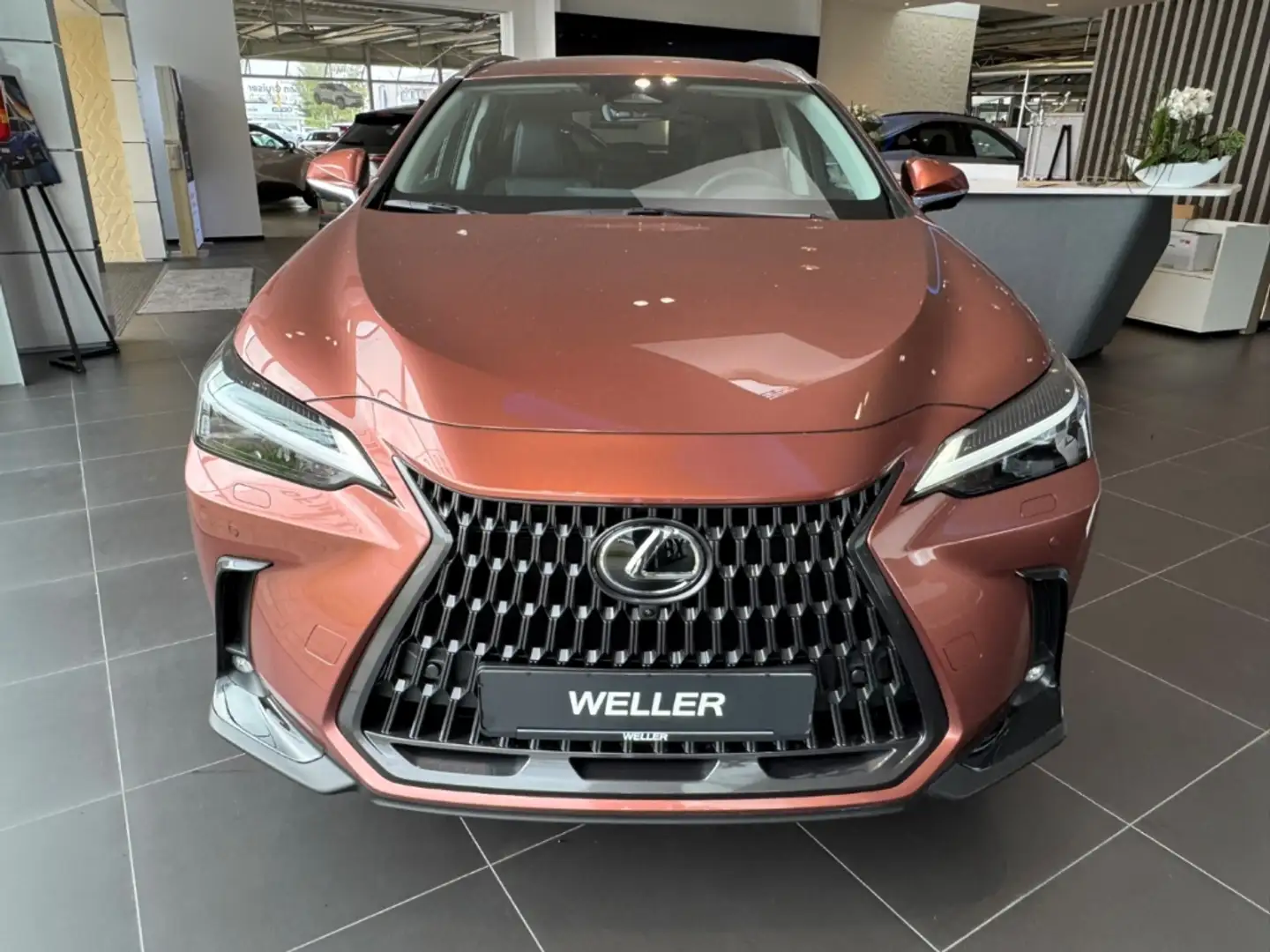 Lexus NX 350h Executive Line *360*HUD*Navi*LED*el Heck* Rouge - 2