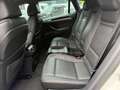 BMW X6 I (E71) xDrive40dA 306ch Luxe Blanc - thumbnail 13