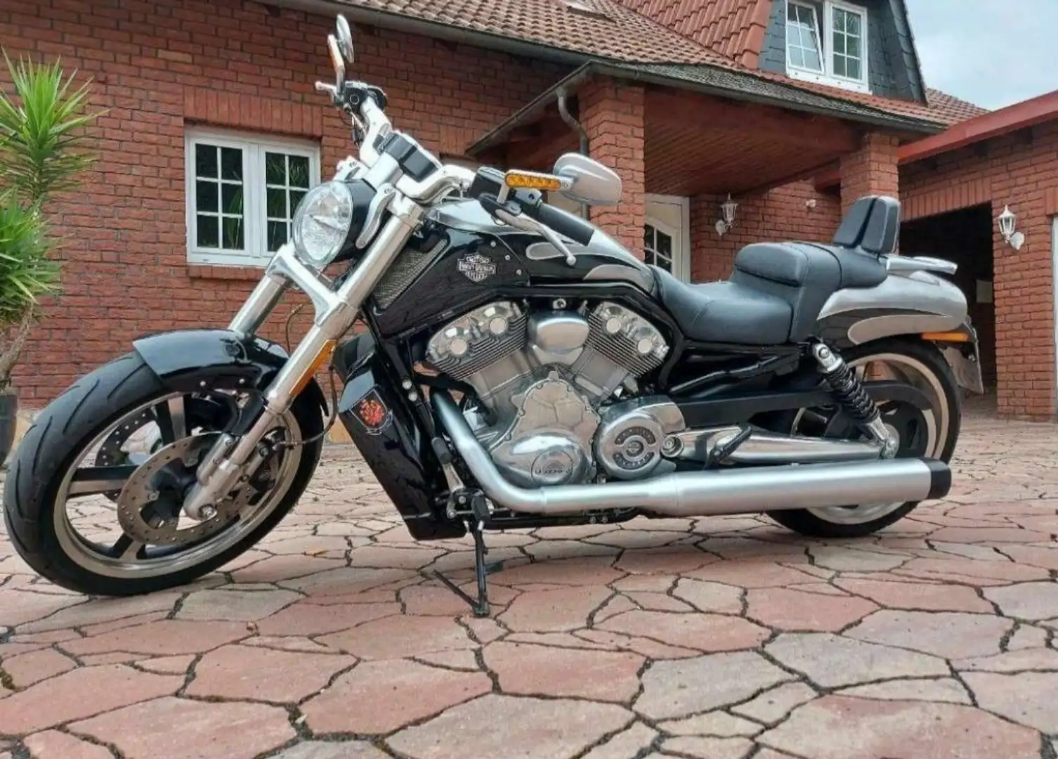 Harley-Davidson VRSC V-Rod Muscle-Sonderfarbe-1A alles original Argintiu - 1